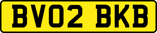 BV02BKB