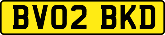 BV02BKD