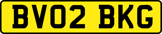 BV02BKG