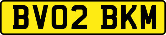 BV02BKM
