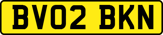 BV02BKN