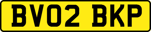BV02BKP