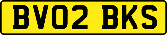 BV02BKS