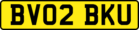 BV02BKU