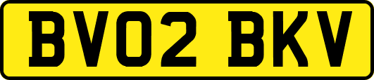 BV02BKV