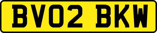 BV02BKW