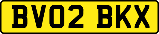 BV02BKX