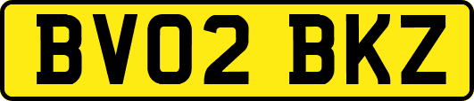 BV02BKZ