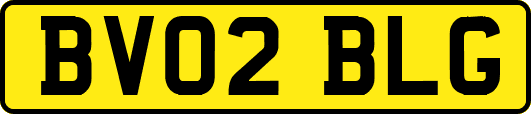 BV02BLG