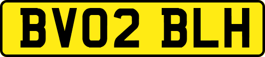 BV02BLH