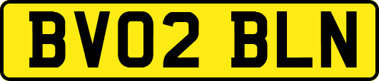 BV02BLN