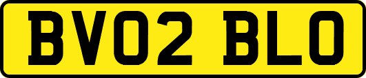 BV02BLO