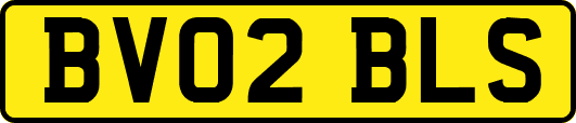 BV02BLS