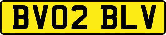 BV02BLV