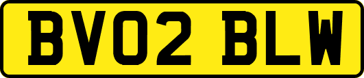 BV02BLW