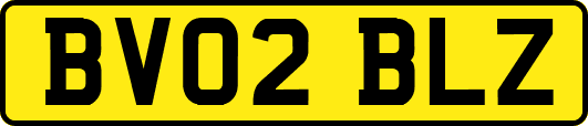 BV02BLZ