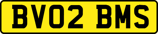 BV02BMS