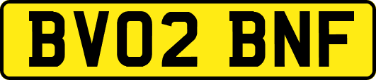 BV02BNF