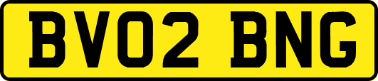 BV02BNG