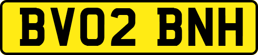 BV02BNH