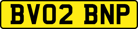 BV02BNP