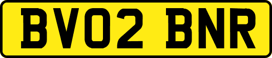 BV02BNR