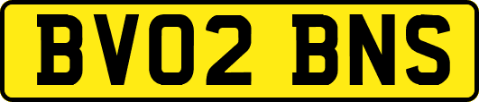 BV02BNS