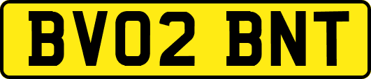 BV02BNT