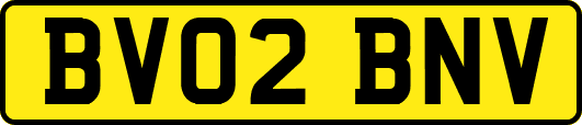 BV02BNV