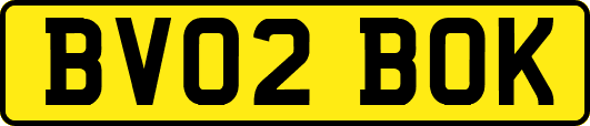 BV02BOK