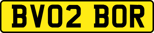 BV02BOR