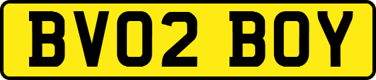BV02BOY