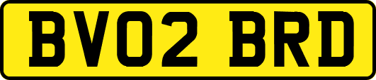 BV02BRD
