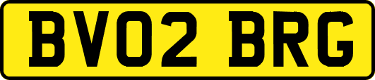 BV02BRG