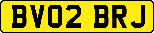 BV02BRJ