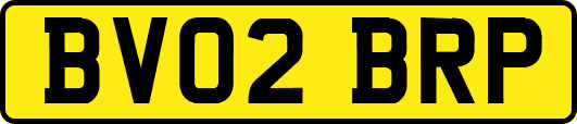 BV02BRP