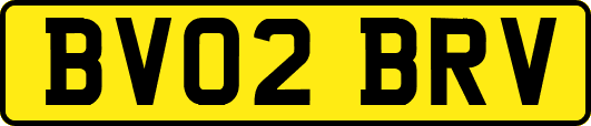 BV02BRV