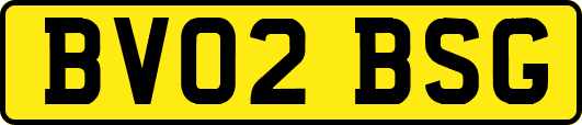 BV02BSG