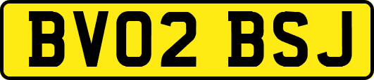 BV02BSJ