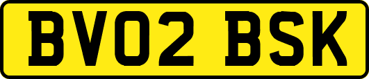 BV02BSK
