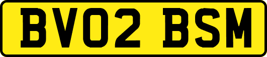 BV02BSM