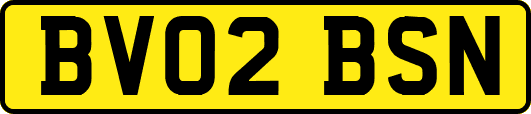 BV02BSN