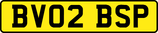 BV02BSP