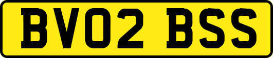 BV02BSS