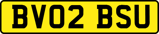 BV02BSU