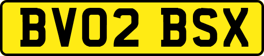 BV02BSX