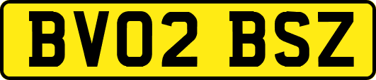 BV02BSZ