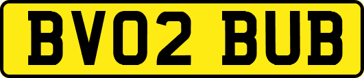 BV02BUB