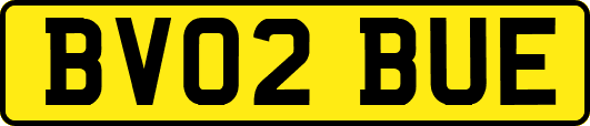 BV02BUE