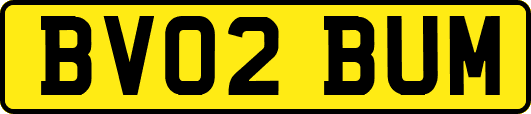 BV02BUM
